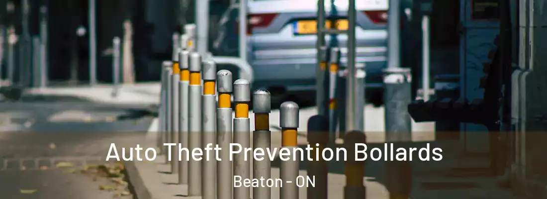  Auto Theft Prevention Bollards Beaton - ON