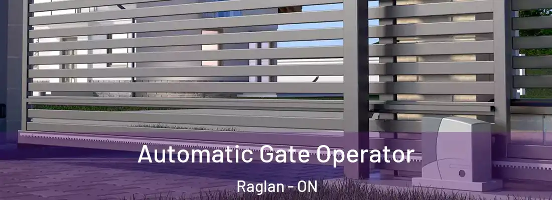  Automatic Gate Operator Raglan - ON