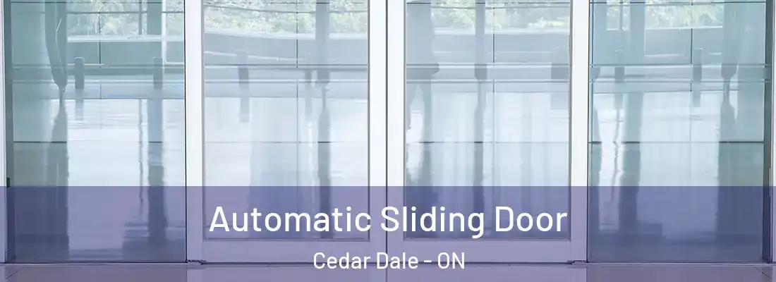  Automatic Sliding Door Cedar Dale - ON