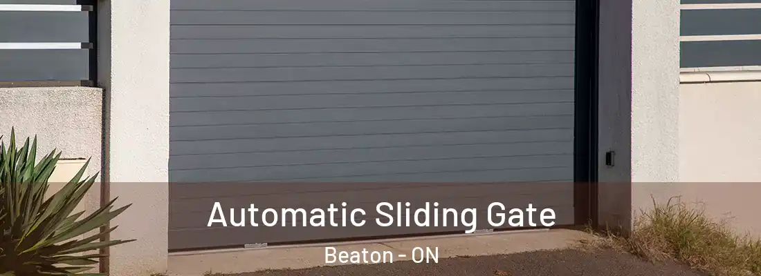  Automatic Sliding Gate Beaton - ON