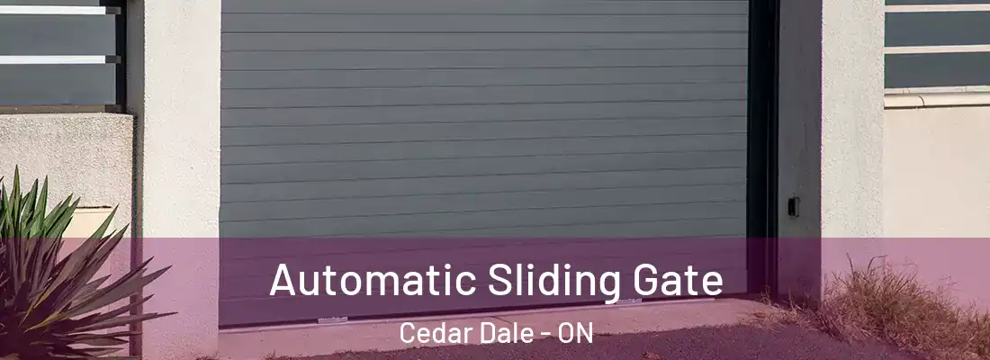  Automatic Sliding Gate Cedar Dale - ON