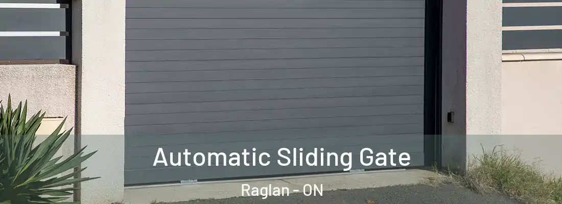  Automatic Sliding Gate Raglan - ON