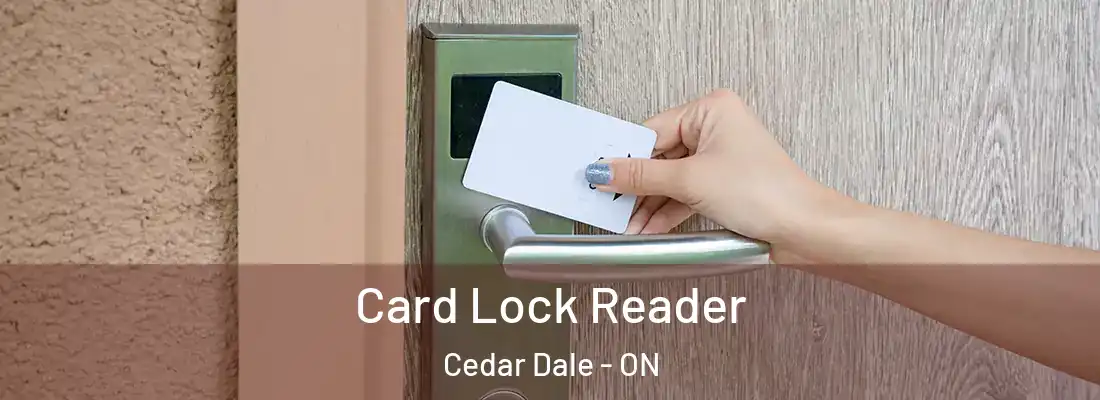  Card Lock Reader Cedar Dale - ON