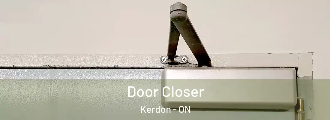  Door Closer Kerdon - ON