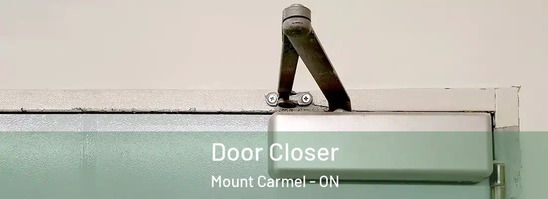  Door Closer Mount Carmel - ON