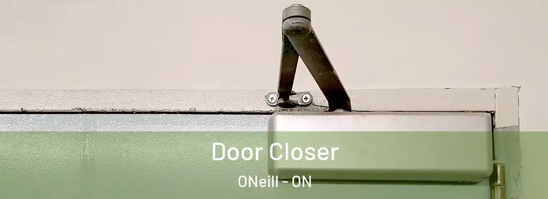  Door Closer ONeill - ON