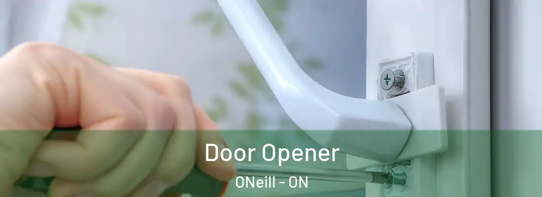 Door Opener ONeill - ON