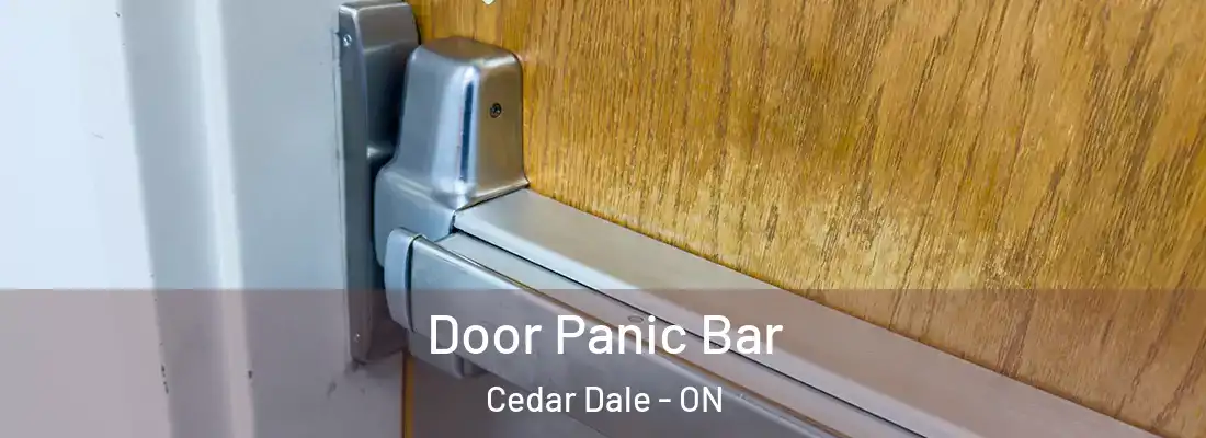  Door Panic Bar Cedar Dale - ON