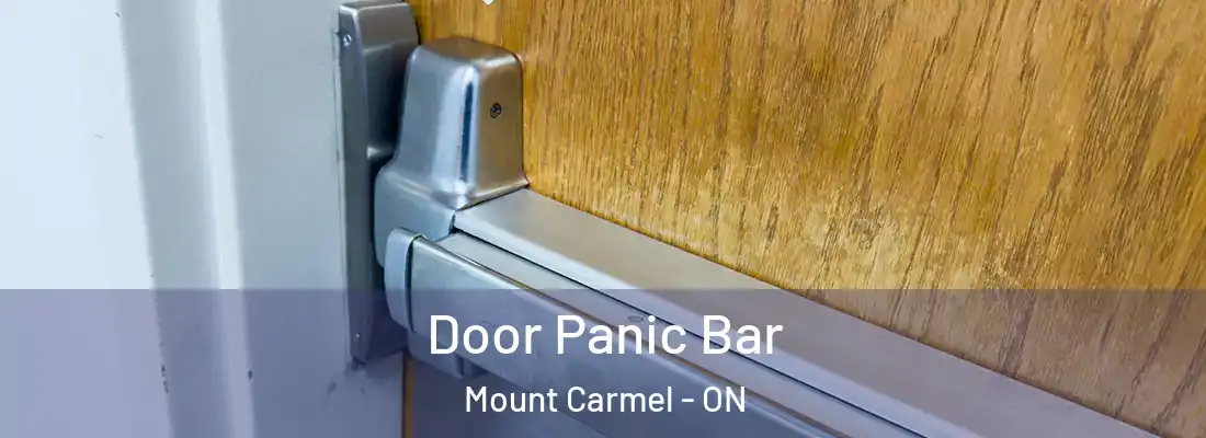  Door Panic Bar Mount Carmel - ON