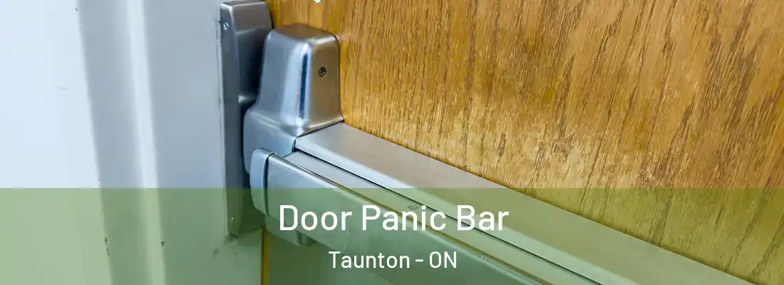  Door Panic Bar Taunton - ON