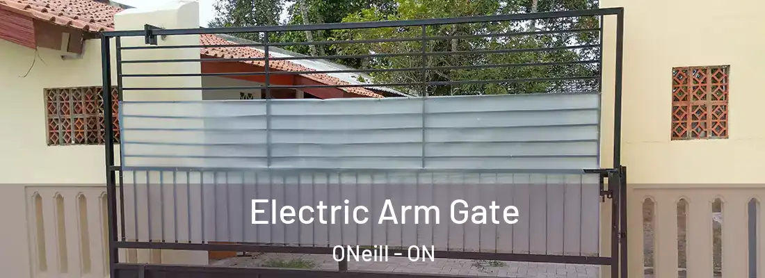  Electric Arm Gate ONeill - ON