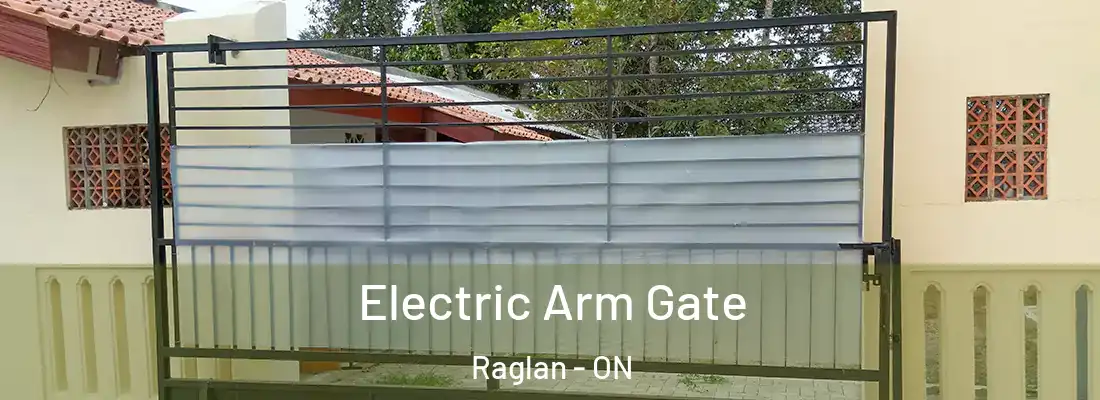  Electric Arm Gate Raglan - ON