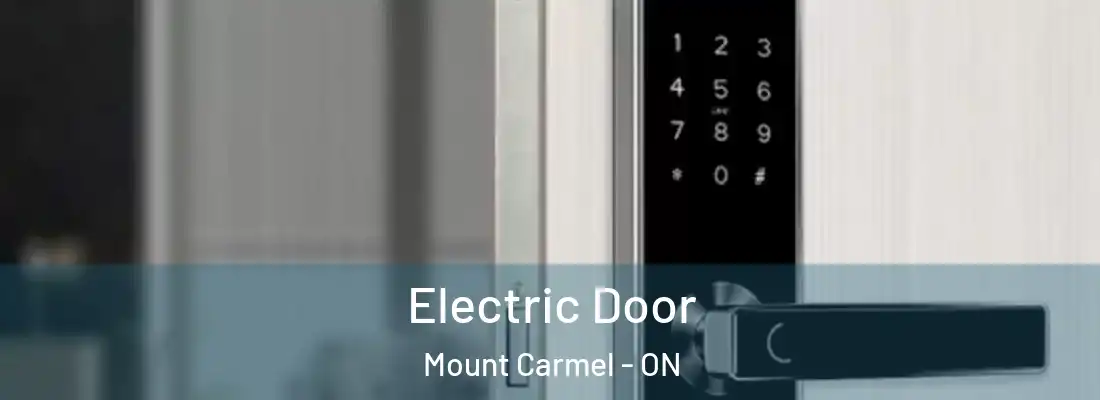  Electric Door Mount Carmel - ON