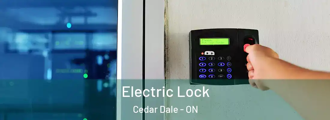  Electric Lock Cedar Dale - ON