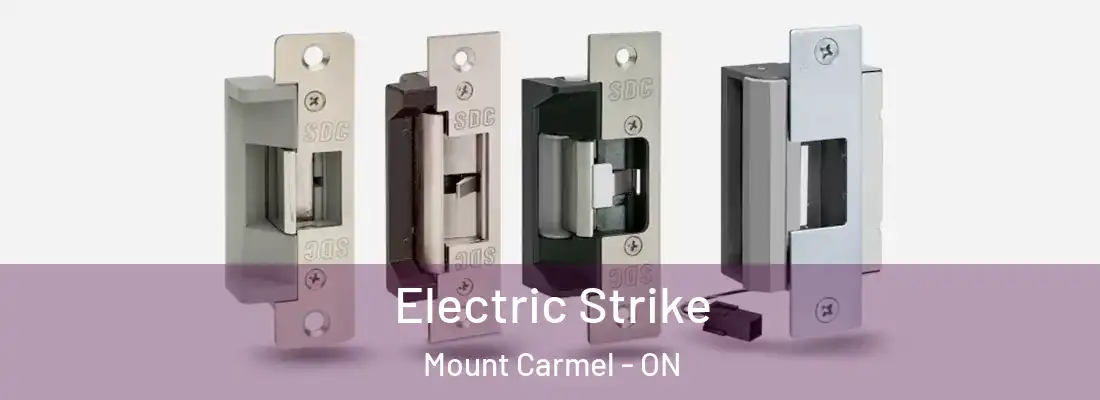  Electric Strike Mount Carmel - ON