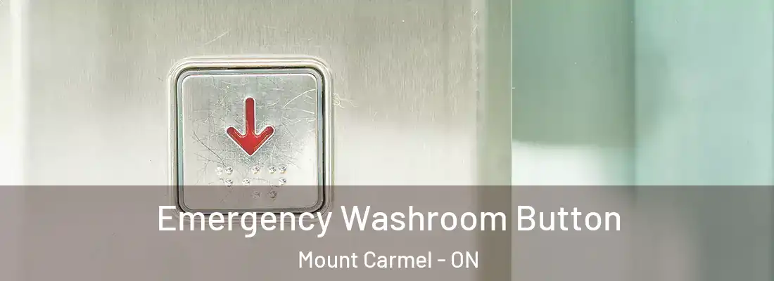  Emergency Washroom Button Mount Carmel - ON