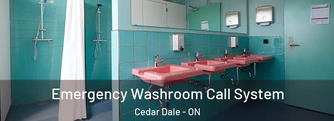  Emergency Washroom Call System Cedar Dale - ON