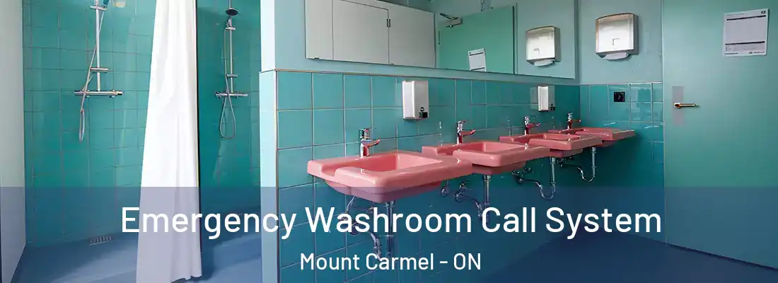  Emergency Washroom Call System Mount Carmel - ON