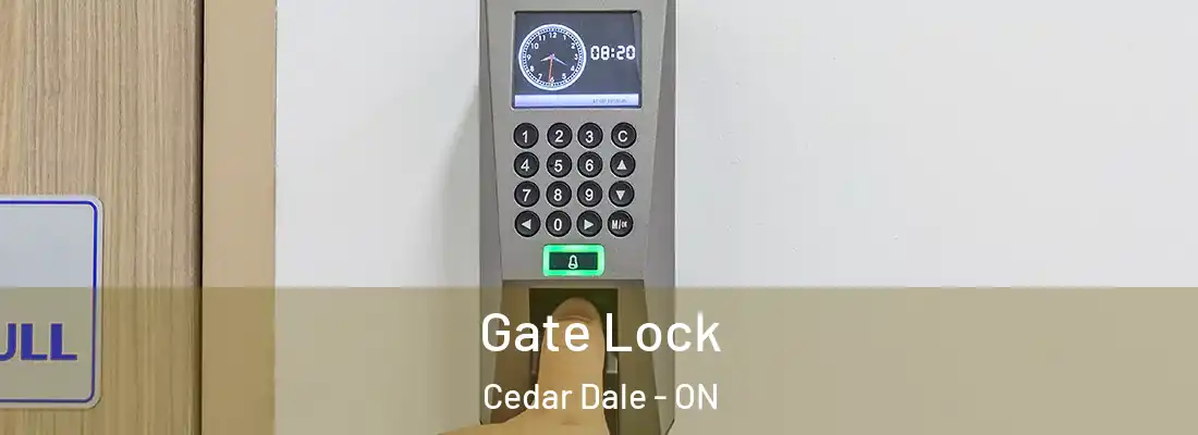  Gate Lock Cedar Dale - ON