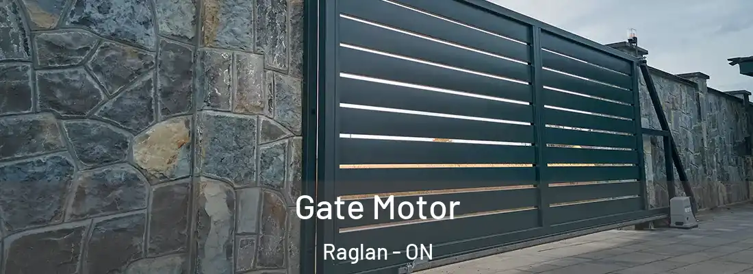  Gate Motor Raglan - ON