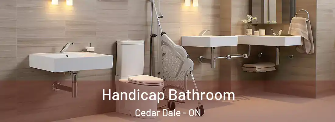  Handicap Bathroom Cedar Dale - ON