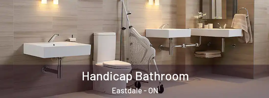  Handicap Bathroom Eastdale - ON