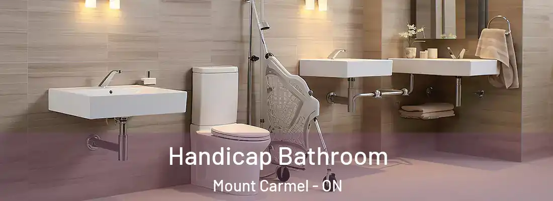  Handicap Bathroom Mount Carmel - ON