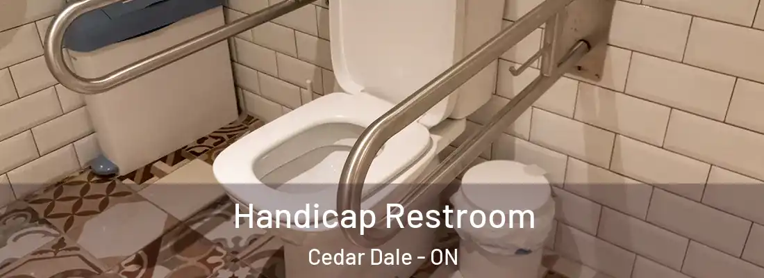  Handicap Restroom Cedar Dale - ON