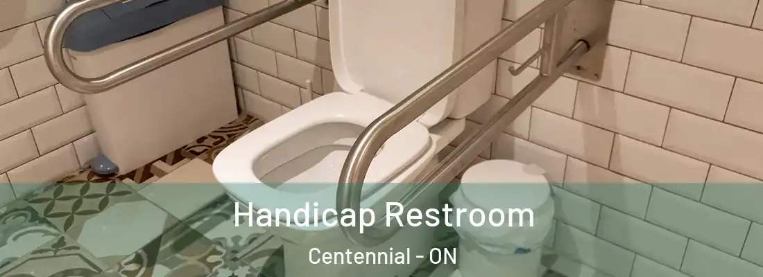  Handicap Restroom Centennial - ON