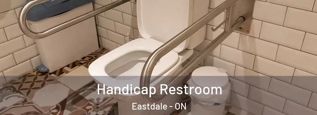  Handicap Restroom Eastdale - ON