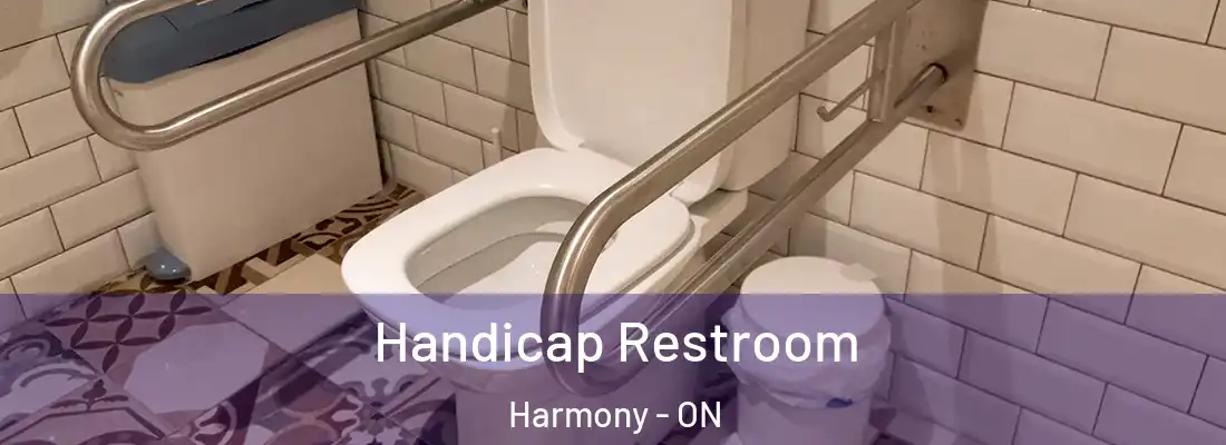  Handicap Restroom Harmony - ON