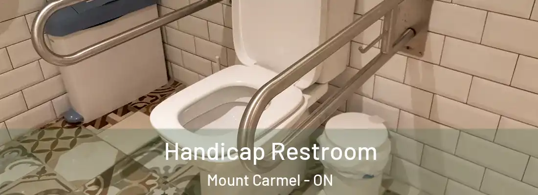  Handicap Restroom Mount Carmel - ON