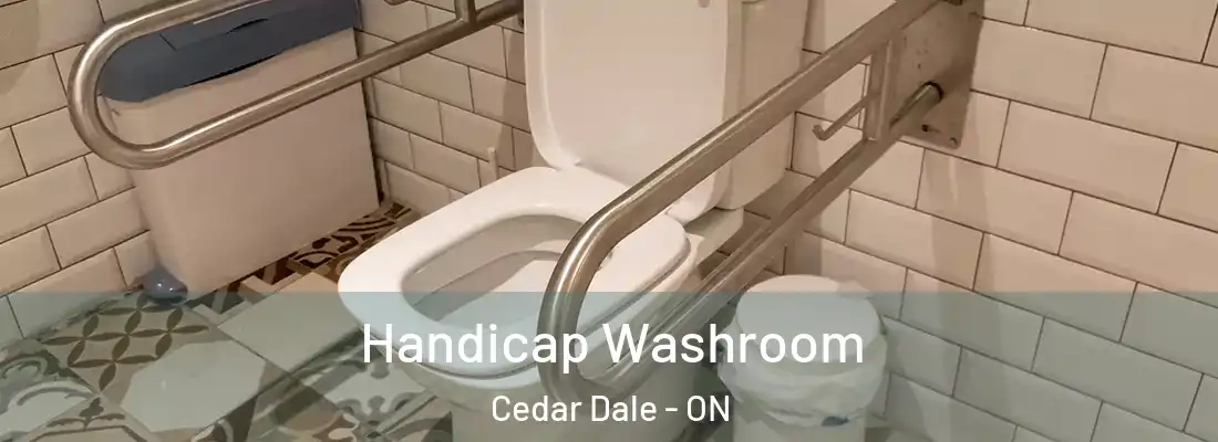  Handicap Washroom Cedar Dale - ON