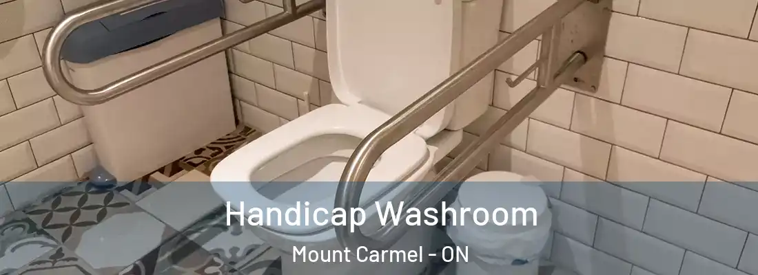  Handicap Washroom Mount Carmel - ON
