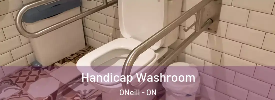  Handicap Washroom ONeill - ON