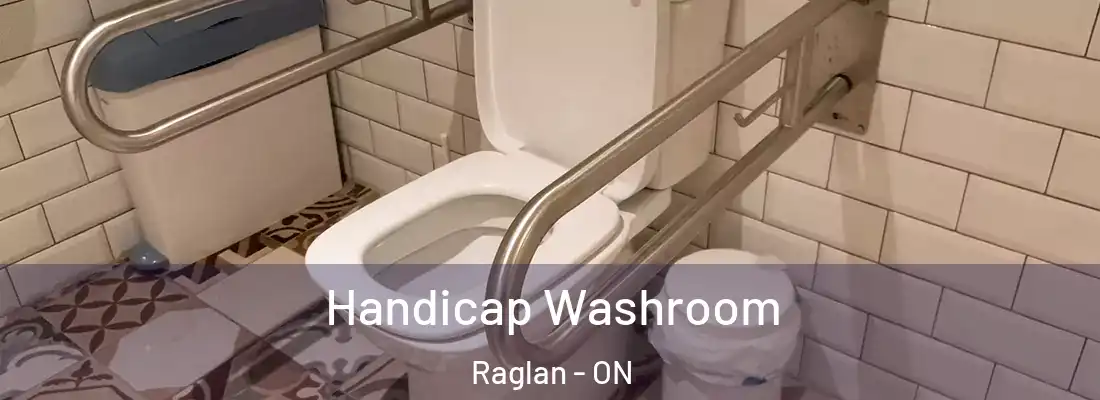  Handicap Washroom Raglan - ON