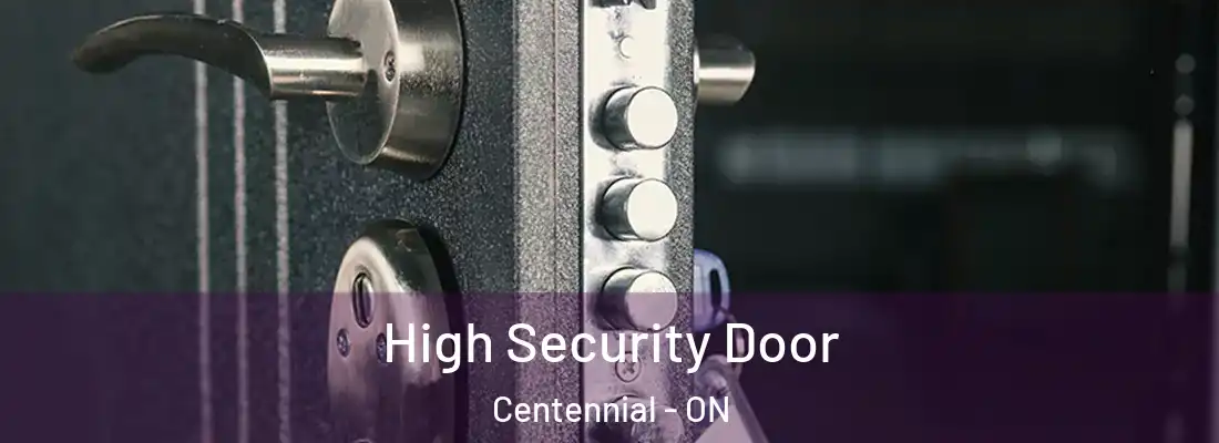 High Security Door Centennial - ON