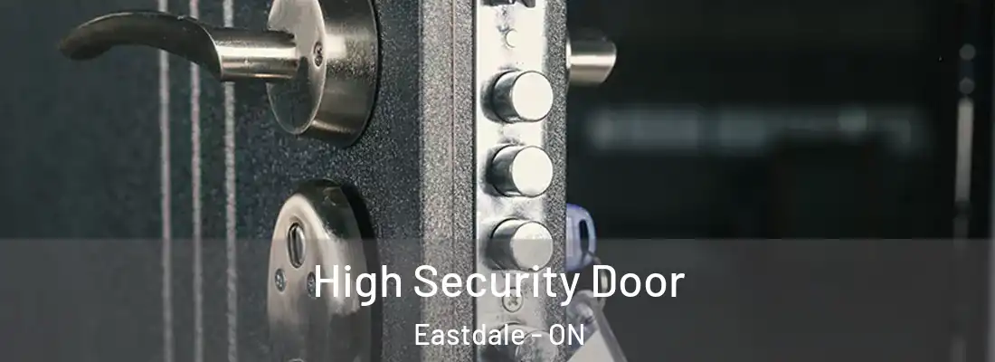  High Security Door Eastdale - ON