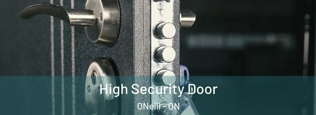  High Security Door ONeill - ON