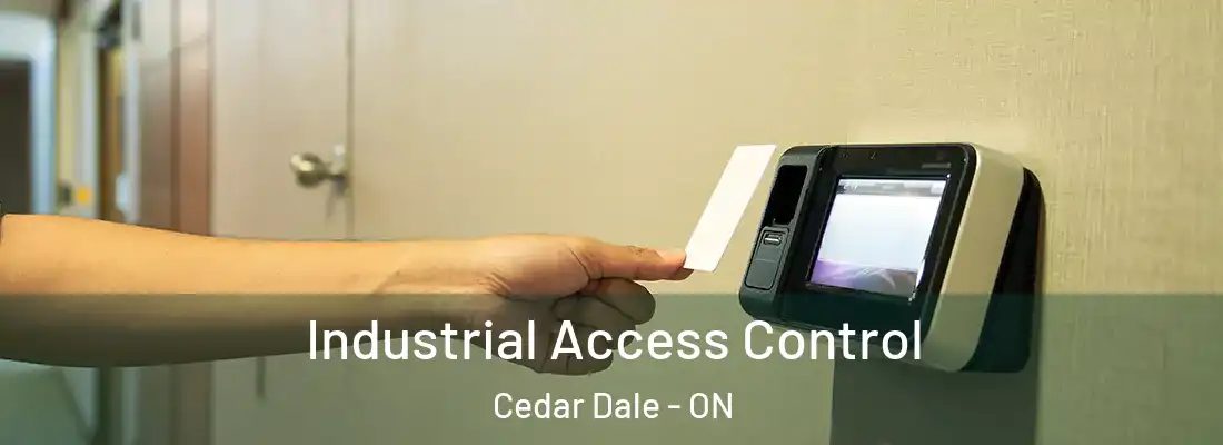 Industrial Access Control Cedar Dale - ON