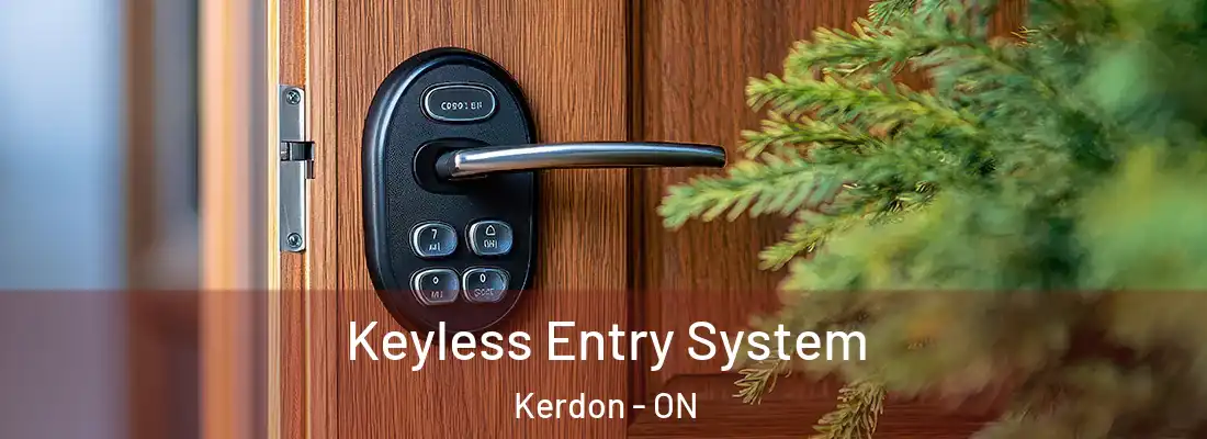  Keyless Entry System Kerdon - ON
