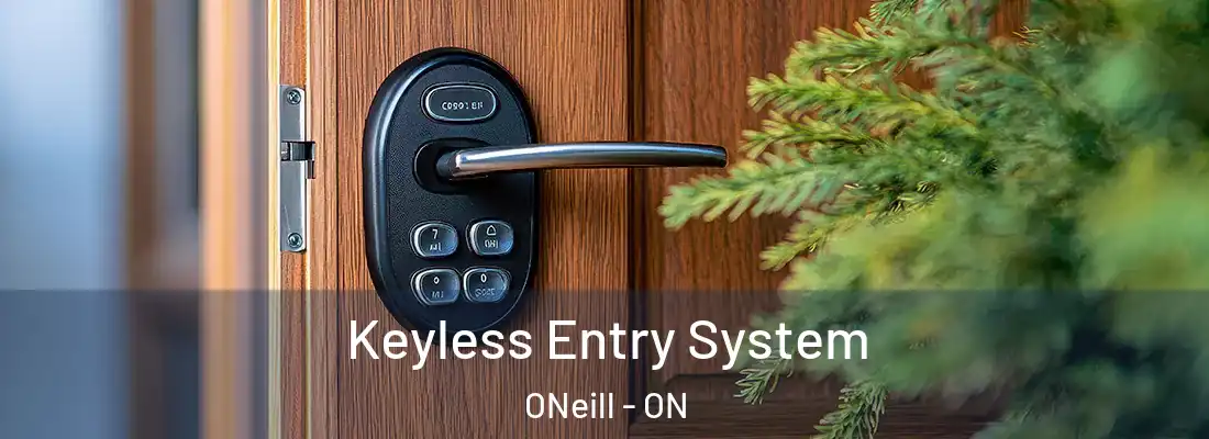  Keyless Entry System ONeill - ON
