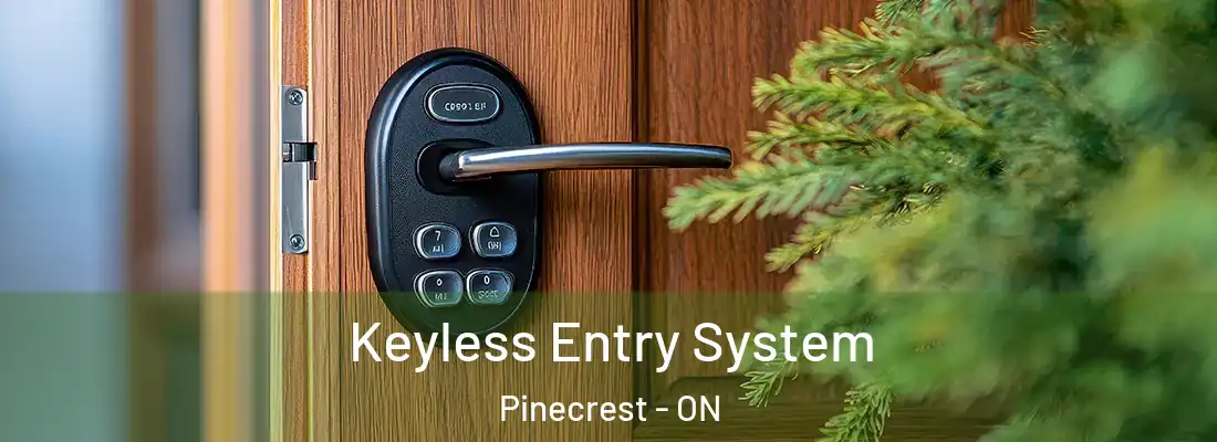  Keyless Entry System Pinecrest - ON