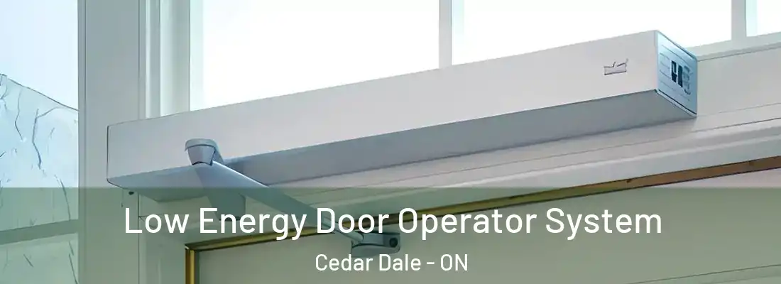  Low Energy Door Operator System Cedar Dale - ON