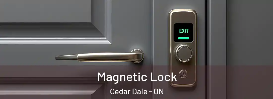  Magnetic Lock Cedar Dale - ON