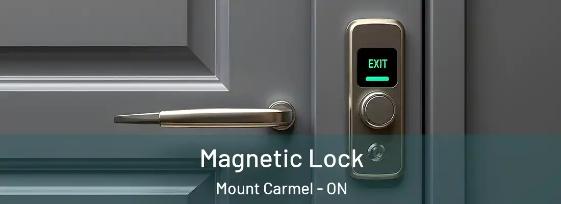  Magnetic Lock Mount Carmel - ON