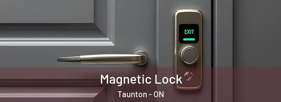  Magnetic Lock Taunton - ON