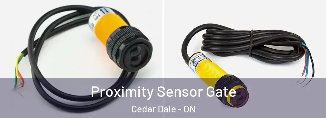  Proximity Sensor Gate Cedar Dale - ON