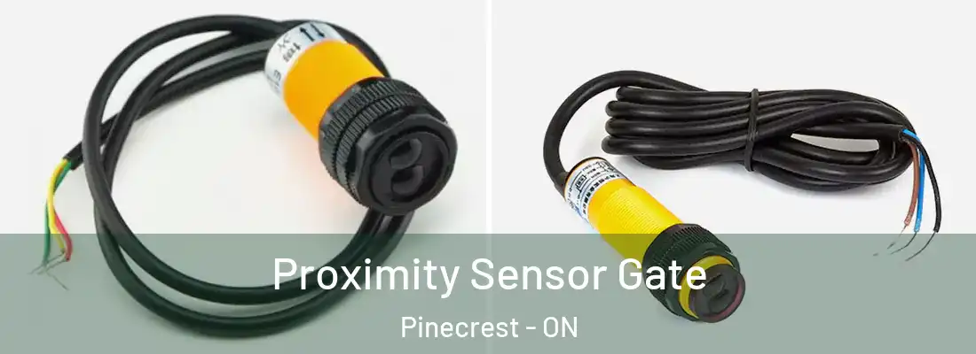  Proximity Sensor Gate Pinecrest - ON