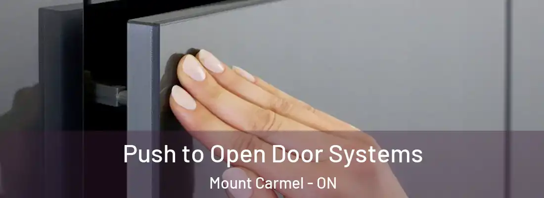  Push to Open Door Systems Mount Carmel - ON